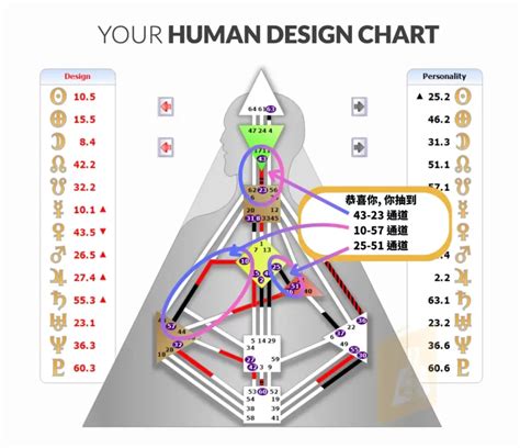 人類圖數字|人類圖是什麼？萬人分析師親自解釋你為什麼你需要。